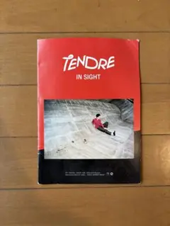 TENDRE IN SIGHT プロモ盤