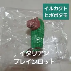 イタリアンブレインロット　イルカクトヒポポタモ