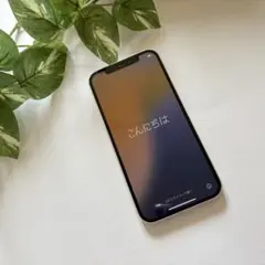 iPhone12