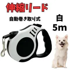 Item thumbnail for item 57c9d422-f911-41d4-9038-740d4349ccda