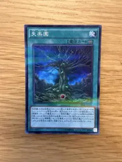 遊戯王　失楽園　スーパーパラレル　20AP