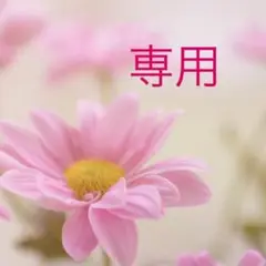 宛名シール　100枚 取扱注意