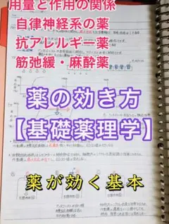 歯学部　CBT 1〜300 近年もの　再現問題　プール問題　歯科 101〜200 歯学部 CBT 再現問題 プール問題 近年 100題の通販 by