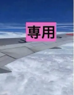 専用