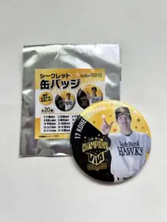 福岡ソフトバンクホークス リーグ優勝記念 シークレット缶バッチ17 有原航平投手