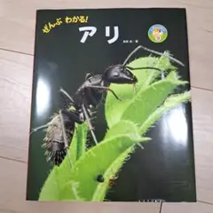 ぜんぶわかる! アリ