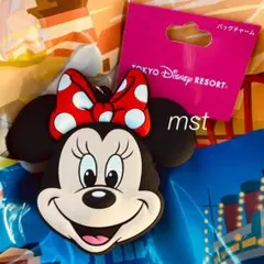 ディズニー ミニー バッグチャーム コインケース キーホルダー キーチェーン