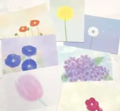 お花　7種　ポストカード　葉書　イラスト　デザイン　キレイ　お便り　文房具