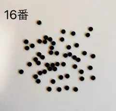 Item thumbnail for item 053a6345-29b7-4561-bebb-6f96a70bb55b