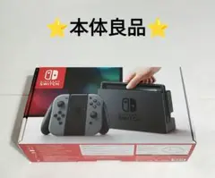 NintendoSwitchグレー