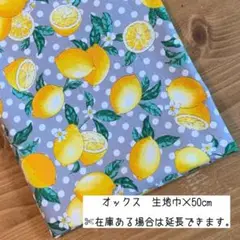 《オックス》j171 レモン×ドット グレー フルーツ 夏 食べ物