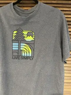 2016年　パタゴニア　LIVE SIMPLY Tシャツ Patagonia