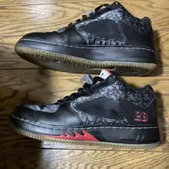レア　Air Jordan Fusion 5 Low 27cm エアフォース