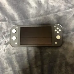 Nintendo Switch Lite グレー 本体