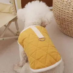 Item thumbnail for item 54528643-9d4a-47d0-b8cd-5fd5475b14d7