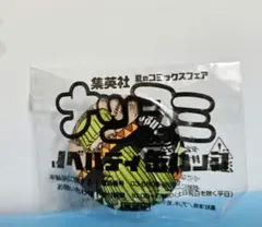 集英社 ナツコミ 2016 ONE PIECE 賞金稼ぎ ジャンアンゴ 缶バッチ