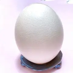 ダチョウの卵と陶器スタンドセット
