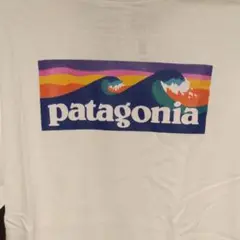 patagonia　2020 Tシャツ【最終値下げ】
