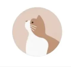 パンナ様 ショーツ7点