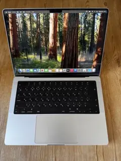 Apple MacBook Pro 14“ M1 Max 64GB JIS
