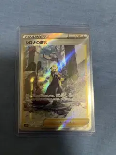 シロナの覇気SAR ポケモンカード