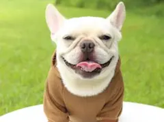 Item thumbnail for item 8f6f4263-c8ff-4ead-a7cf-1526ae4ceca1