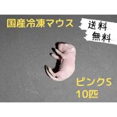 Item thumbnail for item 2b76d633-993a-45ac-852b-f8f9e0ca4d0d
