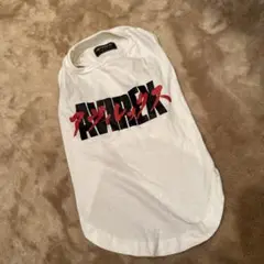 Item thumbnail for item 16b1da6d-dd82-419f-bf88-d87a7f05233a