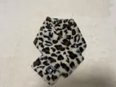 Item thumbnail for item cfcae6e1-1cfe-4635-83d8-6f3fabc05dc9