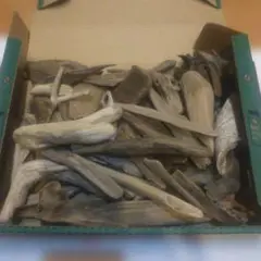 Item thumbnail for item 187e18ec-fed2-4d19-b069-06ca8a0f754b