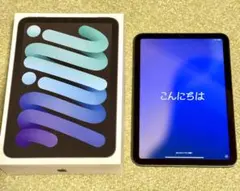 iPad mini (A17 Pro) Wi-Fi 128GB スペースグレイ