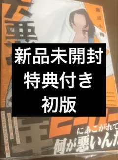 アニメイト特典付 2巻 大悪党少年