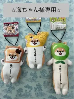 ⭐︎めめたんページ⭐︎ご当地のびしば⑧ 島根限定】のびねこ・のびしば