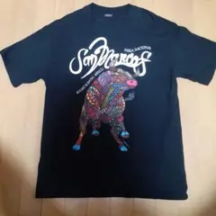 Fussión San Marcos Tシャツ M ブラック 古着