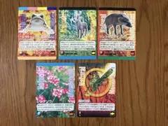 わがままな天然列島　カード　ヤクシカ♂ リュウキュウイノシシ他　5枚まとめ売り