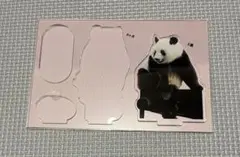 シャンシャン　パンダ アクリルスタンド 約8cm