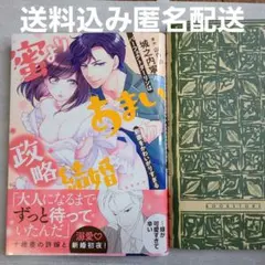 蜜よりあまい政略結婚　城之内寧々/山内詠 送料込み