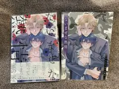 沖田有帆　ないまぜな熱情　アニメイト小冊子付き