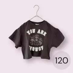 【美品】Tシャツ トップス クロップド アニマル ショート丈 120 しまむら