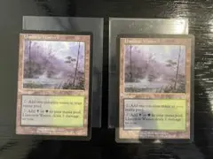 MTG　ラノワールの荒原　アポカリプス　APC　英語　2枚