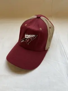 古着 ベースボールキャップ FSU フロリダ州立大 NCAA 6パネル