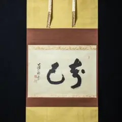薬師寺管長 橋本凝胤「仁者寿如山」掛軸 共箱 茶道具 茶掛 T7 2025年最新】橋本_凝胤の人気アイテム - メルカリ