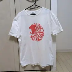 LACOSTE ホワイト Tシャツ サイズ5