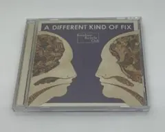 bombay bicycle club cd