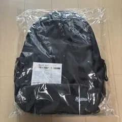 Item thumbnail for item 5ad5d750-9aa6-4261-ba20-b4545d12e6a7