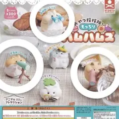 おやつ探検隊！もっちりハムハムズ 3匹セット