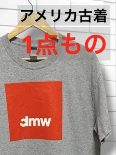 【一点物】オーバーサイズTシャツ アメカジ 古着 ビッグシルエット グレー