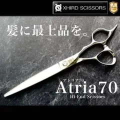 Item thumbnail for item 7e33ff0c-4ea8-4c9e-a87e-471f71d1f02f