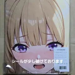4309 バスタオル タペストリー 萌タオル N19340