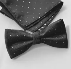 Item thumbnail for item 72753be5-3772-458a-995b-b2dd8c965a62